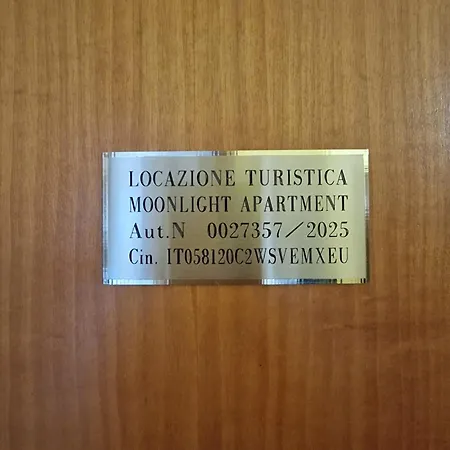 Moonlight *